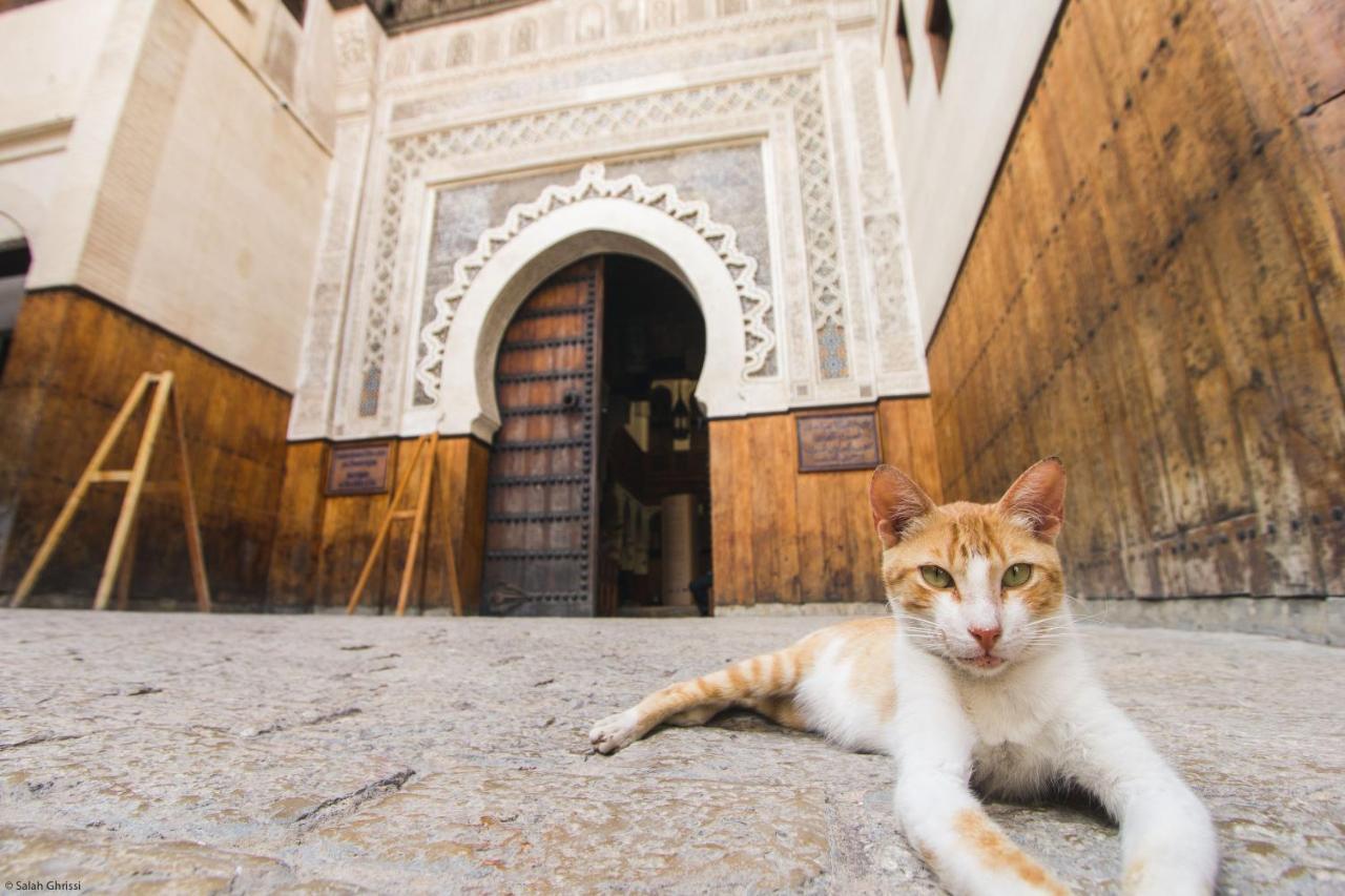 Riad Anis Фес Экстерьер фото